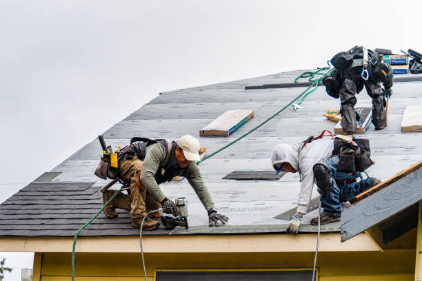 Professional Flat Roof Repair technician working in Newtonville, MA